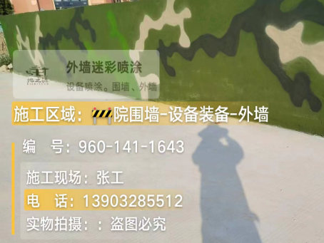 鹰潭 迷彩漆喷涂价格（按平方米计费）