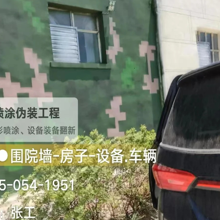 鹰潭数码迷彩漆施工